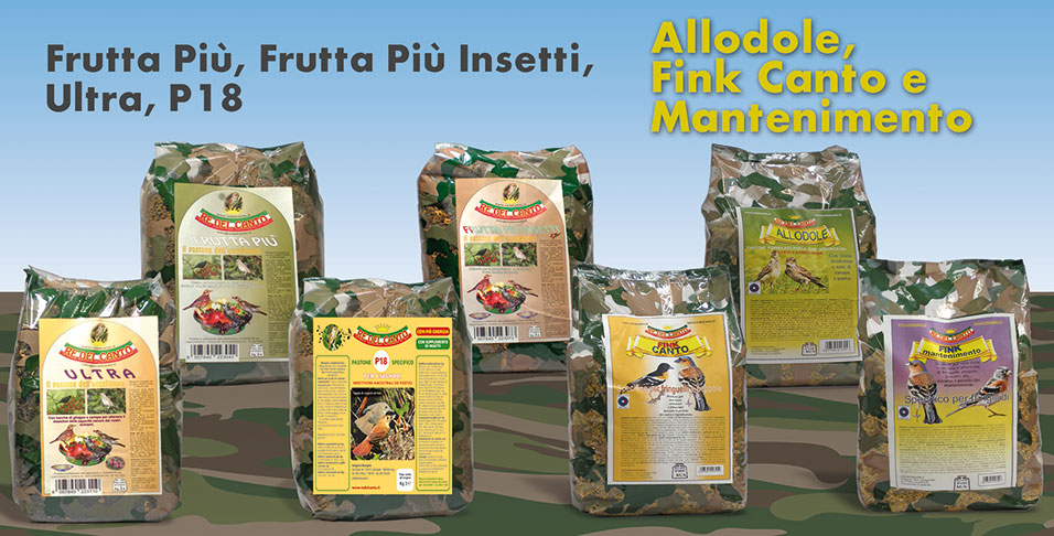 Pastoni